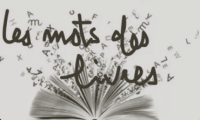 Logo de Des mots et des livres