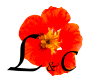 logo-similar-editor