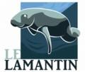 logo-similar-editor