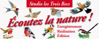 logo-similar-editor