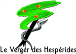 logo-similar-editor